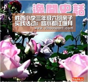 壹号娱乐下载