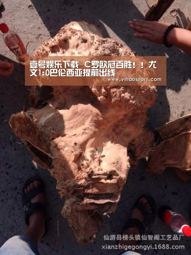 壹号娱乐APP