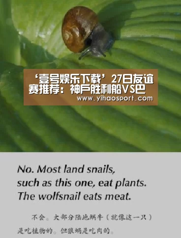 壹号娱乐