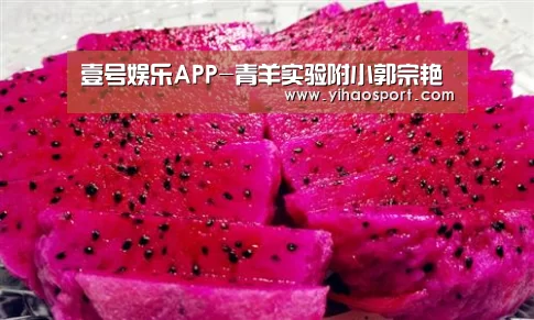 壹号娱乐下载