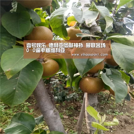 壹号娱乐下载