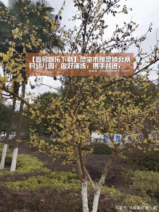 壹号娱乐下载